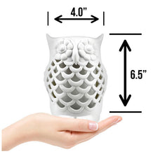 Load image into Gallery viewer, Ceramic Owl Essential Oil Diffuser