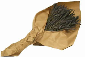 Dried Certified Organic Grosso Field Bundle